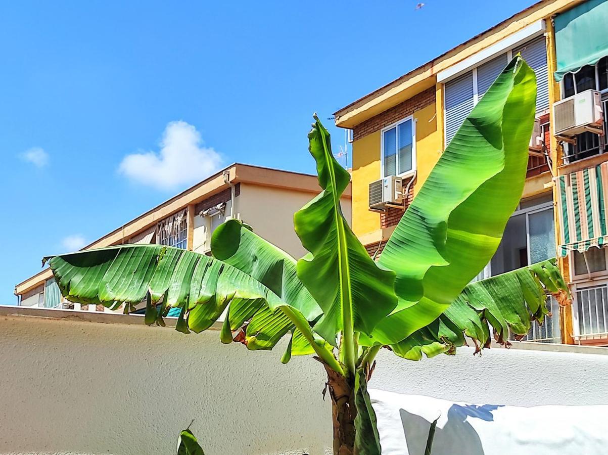 Apartament Manuela Nogales Apartments! *